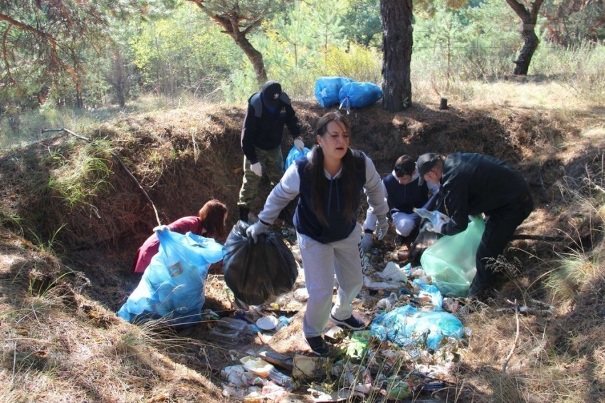 С мая по октябрь в Воронежской области пройдут акции по очистке леса от мусора