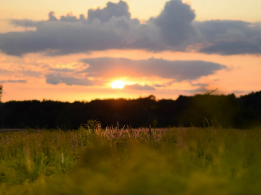 Синоптики рассказали, какой будет погода в Воронежской области в августе