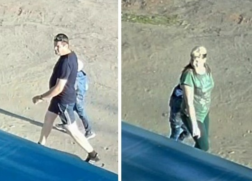 В Борисоглебске похитители собаки попали на видео