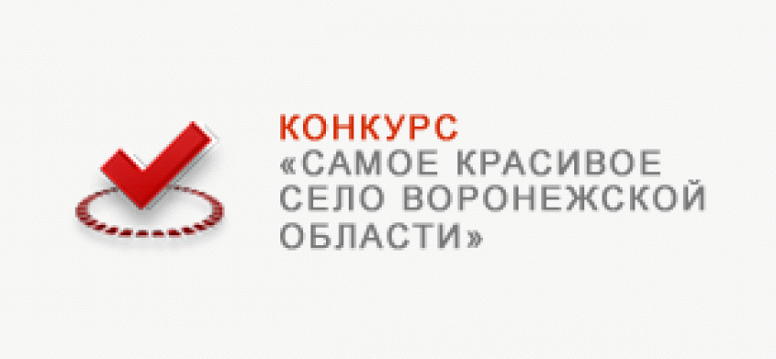 Ульяновка борется за звание  «Самого красивого села Воронежской области». Жюри приступило к инспектированию претендентов.