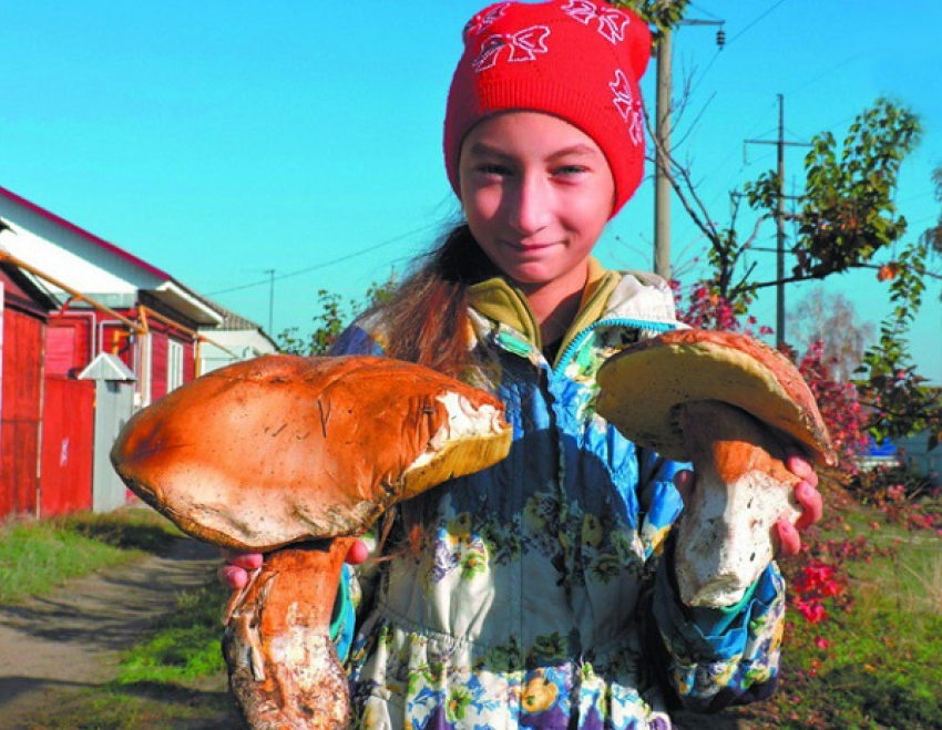 Борисоглебец нашел возле дома 2-х килограммовый гриб боровик