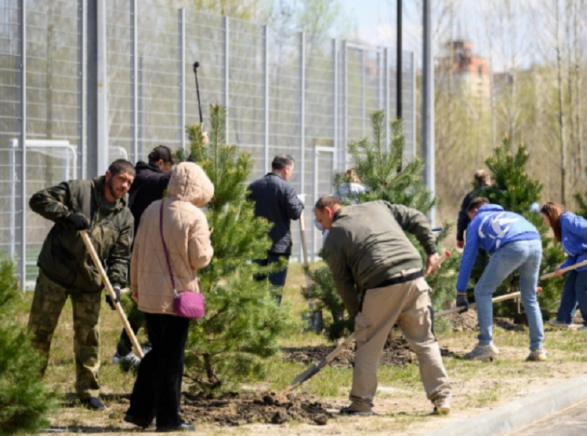 Более 111 тысяч человек приняли участие в региональном субботнике в Воронежской области 