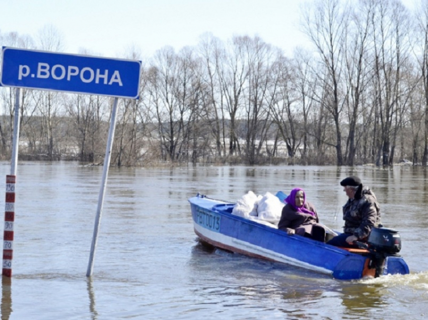 В Грибановском районе открыли лодочную переправу через реку Ворона