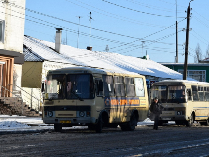 Массовые проверки маршруток проведут в Борисоглебске