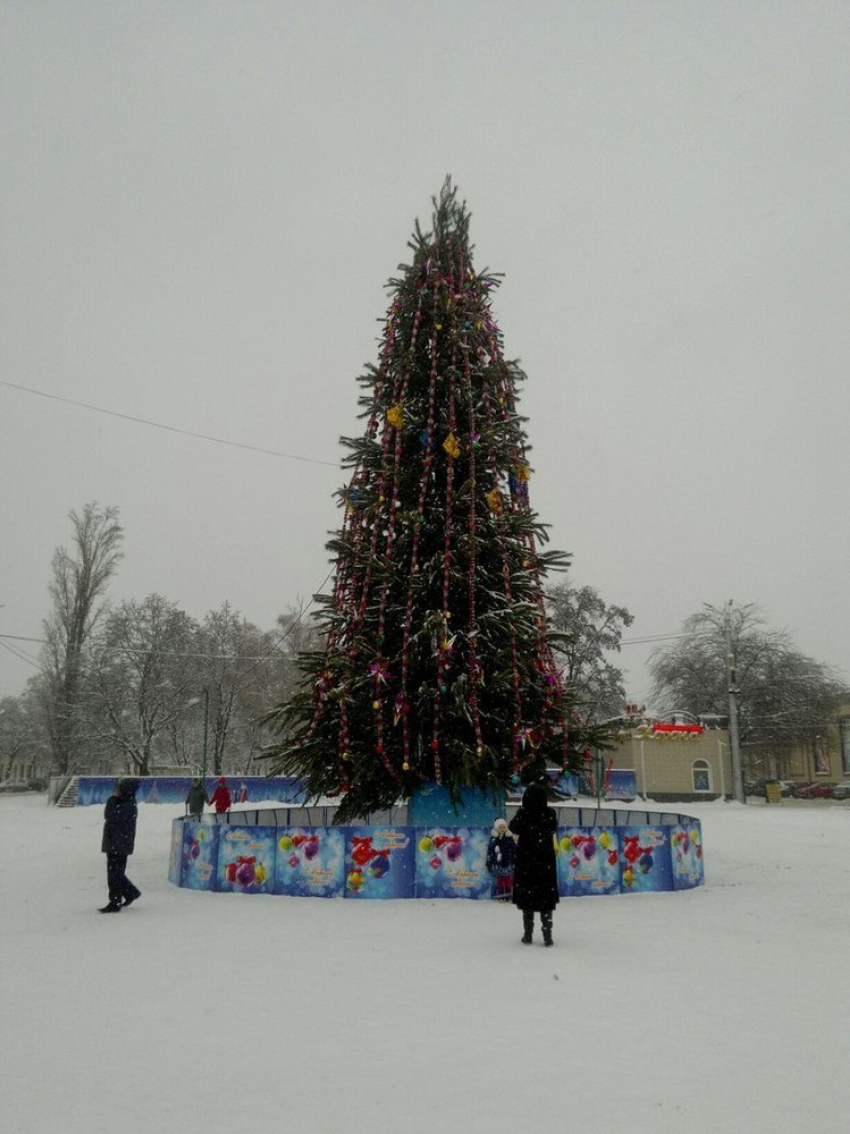 В Борисоглебске окончательно установили и нарядили главную новогоднюю елку