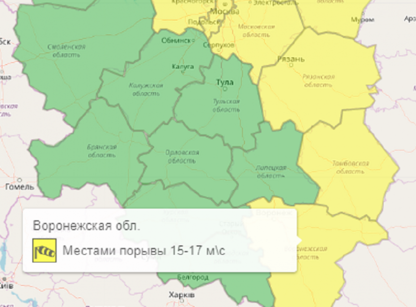 Желтый уровень опасности объявили в Воронежской области из-за сильного ветра