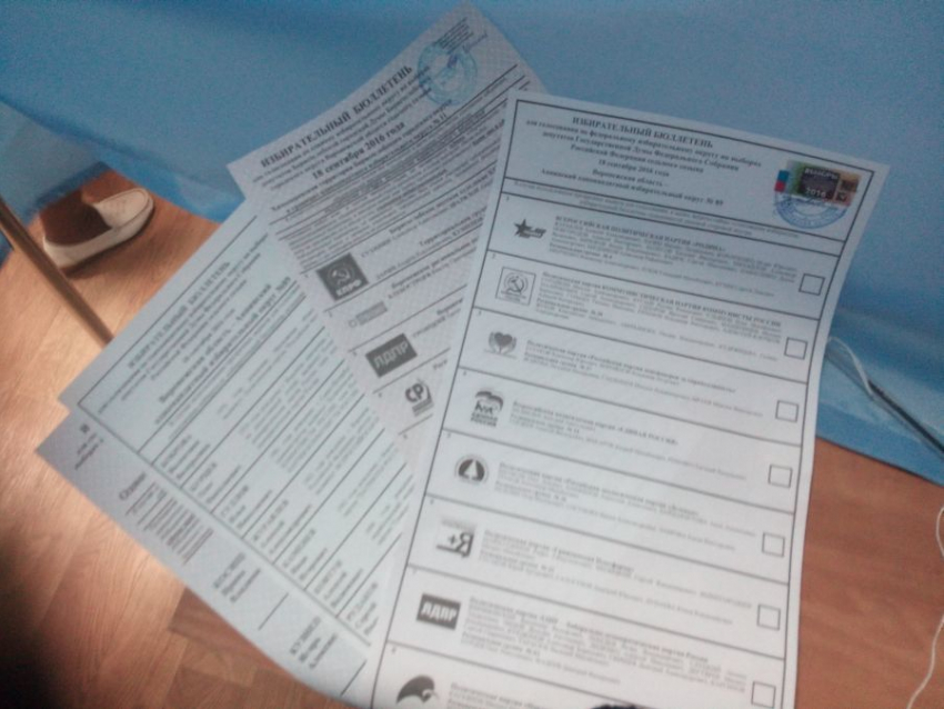 Опубликованы новые данные по итогам выборов в Борисоглебскую городскую думу