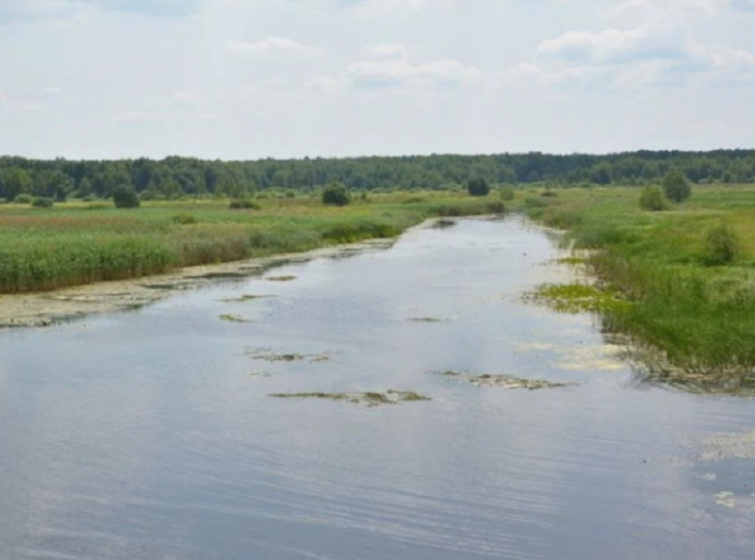 В Воронежской области отметят границы водоохранных зон и прибрежных защитных полос рек