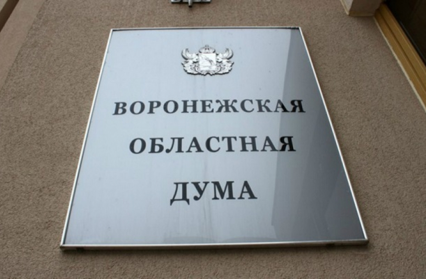 Какие законопроекты, рассмотрит Воронежская облдума в весеннюю сессию