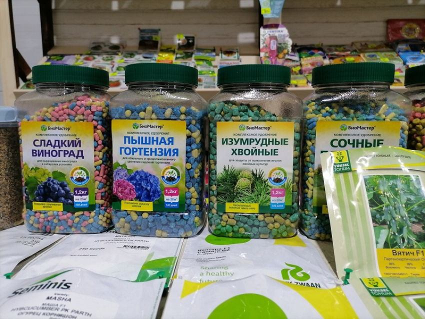 Начинаем готовиться к сезону рассады вместе с ТК «БАZАР»