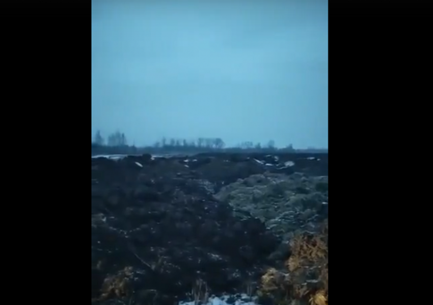 Заваленный навозом  живописный уголок Черноземья попал в поле зрения СК РФ