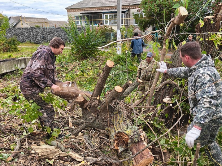 Сотрудники администрации вышли на субботник в преддверии месячника благоустройства в Грибановском районе