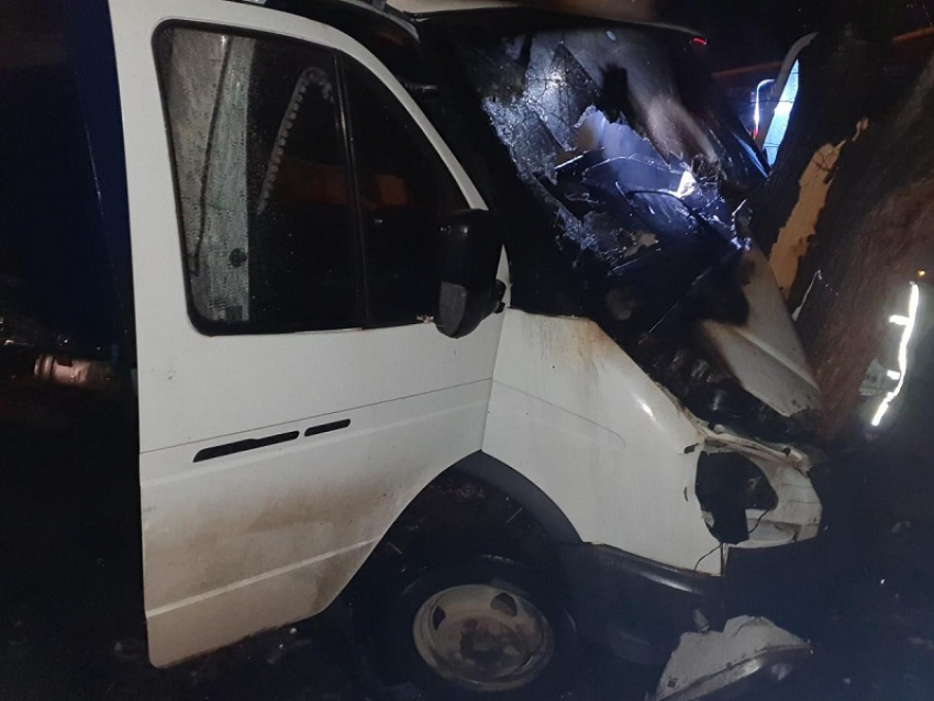 Водитель «Газели» погиб в ДТП с деревом на трассе в Грибановском районе
