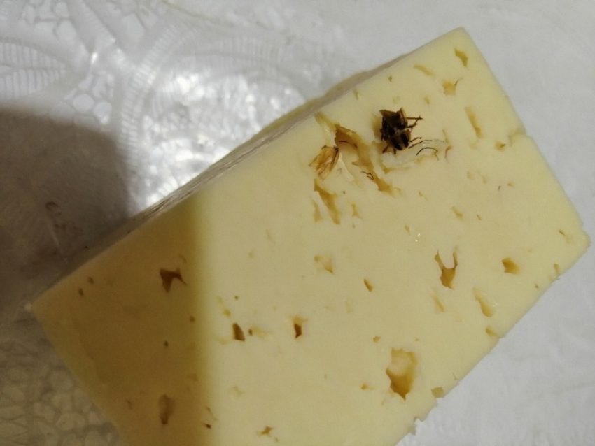 Жительница Борисоглебска купила в магазине сыр с «сюрпризом»