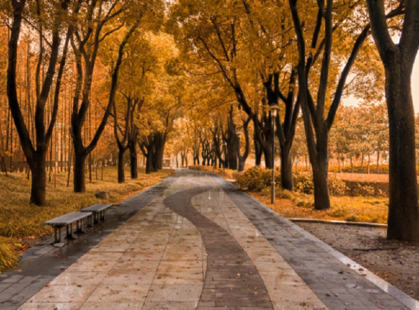 Воронежской области выделят 628 млн рублей на развитие городской среды