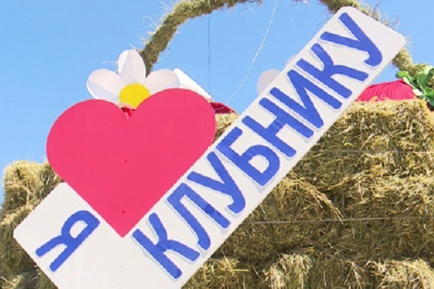 В Грибановском районе прошёл фестиваль «Клубничная поляна»