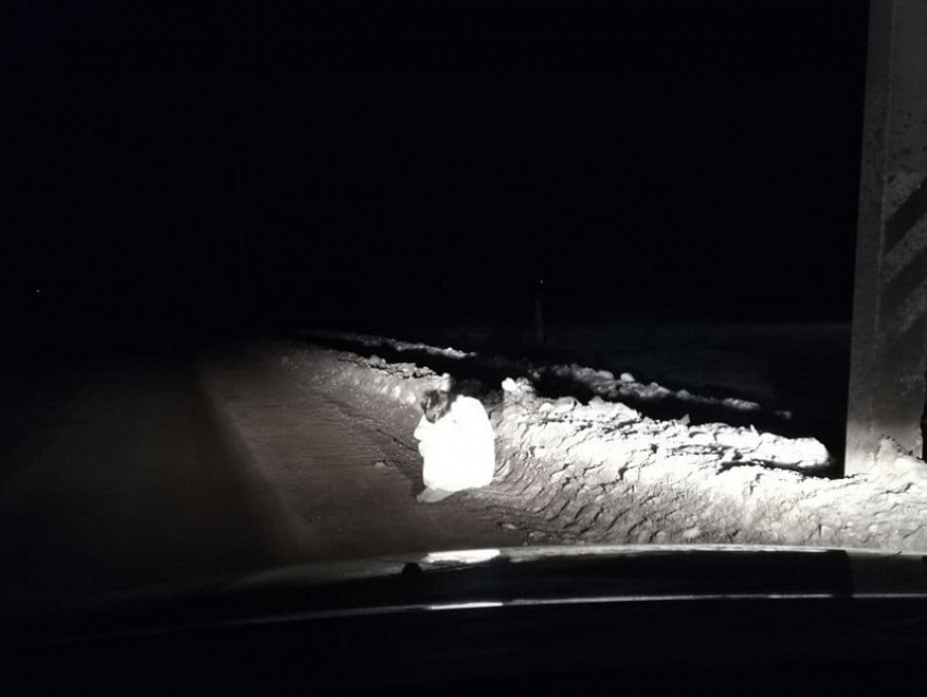 Раздетую женщину в мороз обнаружили на обочине дороги в Новохоперском районе