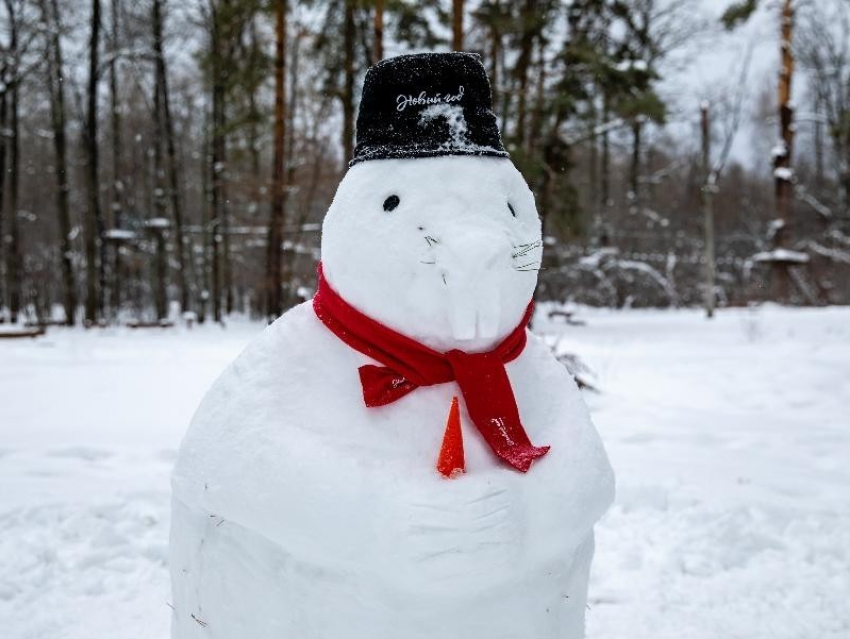 Снеговиков с зубами и хвостами предложили вылепить жителям Воронежской области
