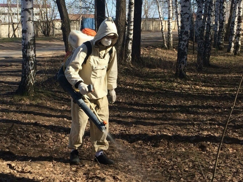 В Воронежской области готовятся к войне с клещами