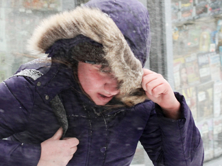 Спасатели предупредили жителей Воронежской области о сильном юго-западном ветре