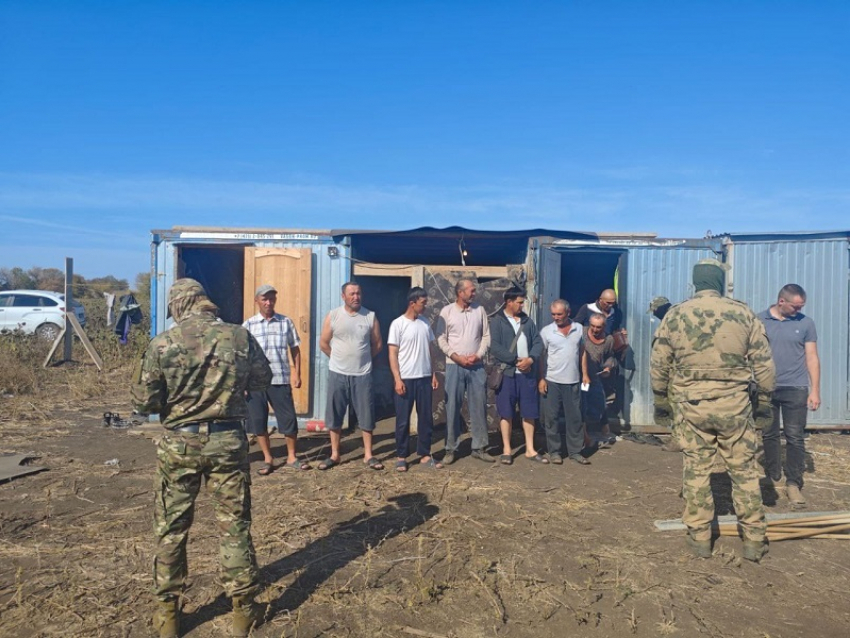 Мигранта-нелегала выдворят из России после проверки в Новохоперском районе