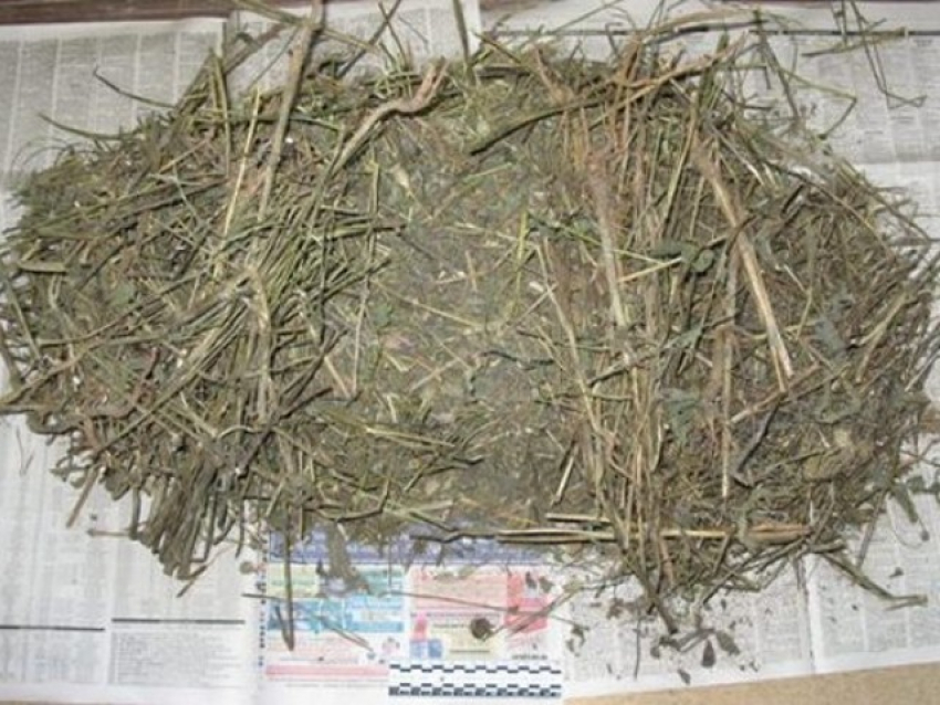 У жителя Борисоглебска изъяли 68 граммов маковой соломки