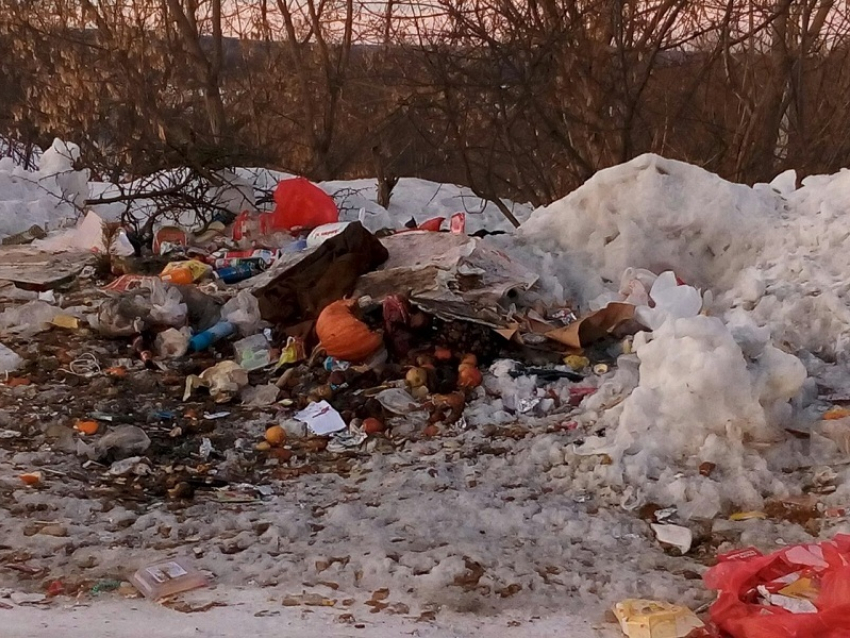 Результаты «бестарного сбора мусора» сфотографировали в Борисоглебске