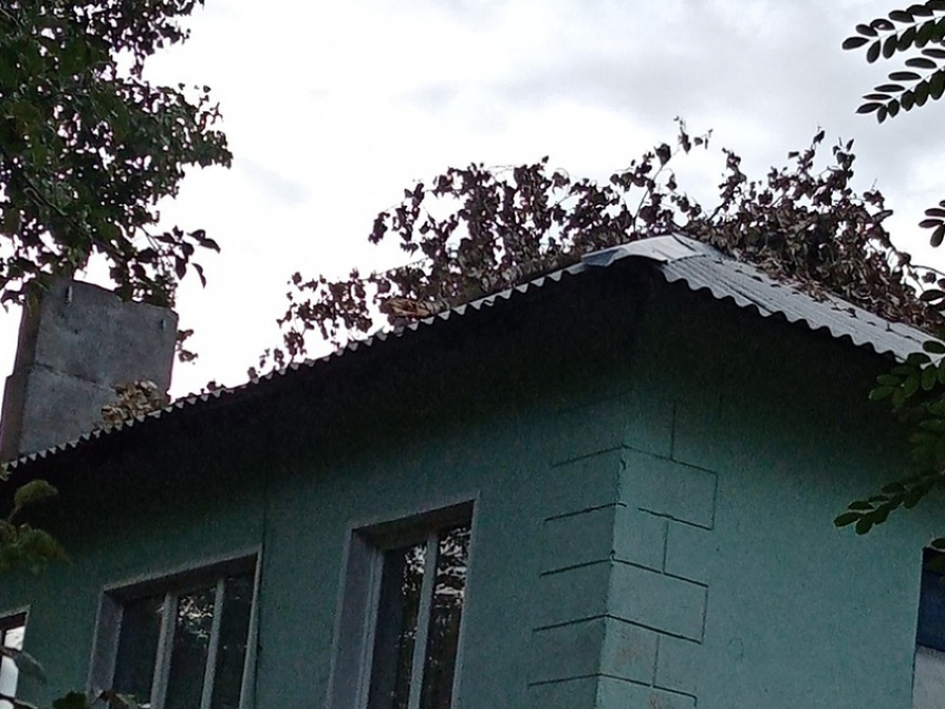 Из-за бездействия «Коммунальщика» и администрации поселка грибановцы живут с дырявой крышей