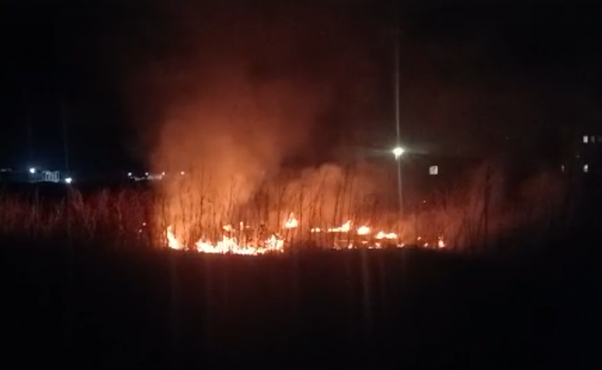 Ландшафтный пожар в Борисоглебске: на восточной окраине города загорелся сухостой