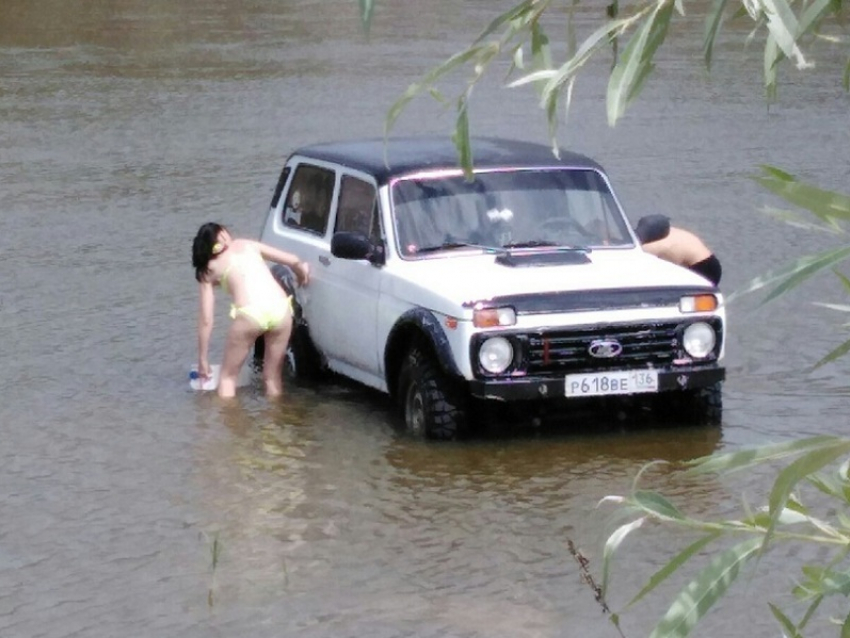 «Купание железного коня» в реке Хопер сфотографировал житель Новохоперска