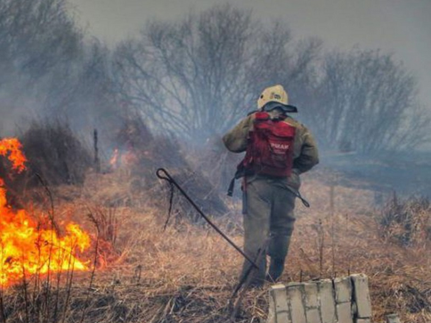 В Воронежской области ввели особый противопожарный режим