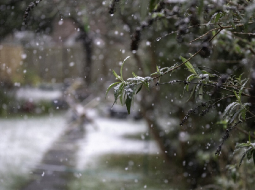 Мороз и сильный ветер ожидаются на этих выходных в Воронежской области