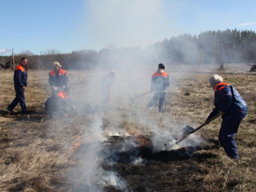 В Воронежской области на две недели раньше введут противопожарный режим