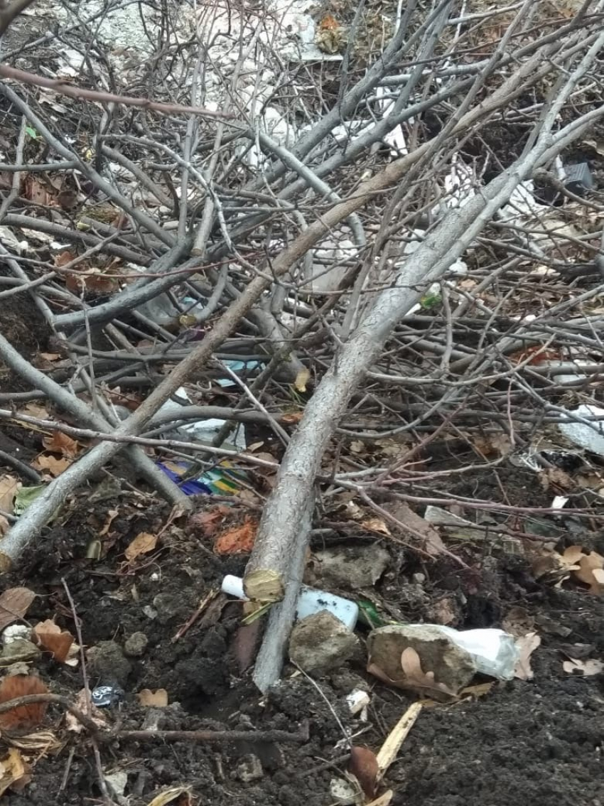 Администрация БГО осмотрела убранные от мусора площадки ТКО и расстроилась 