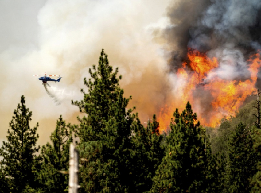 Стало известно, какие месяцы станут самыми пожароопасными для лесов Воронежской области