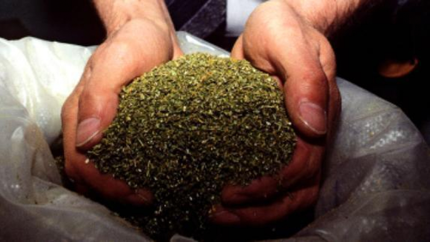 Наркоман из Новохоперска изготавливал марихуану с помощью сита