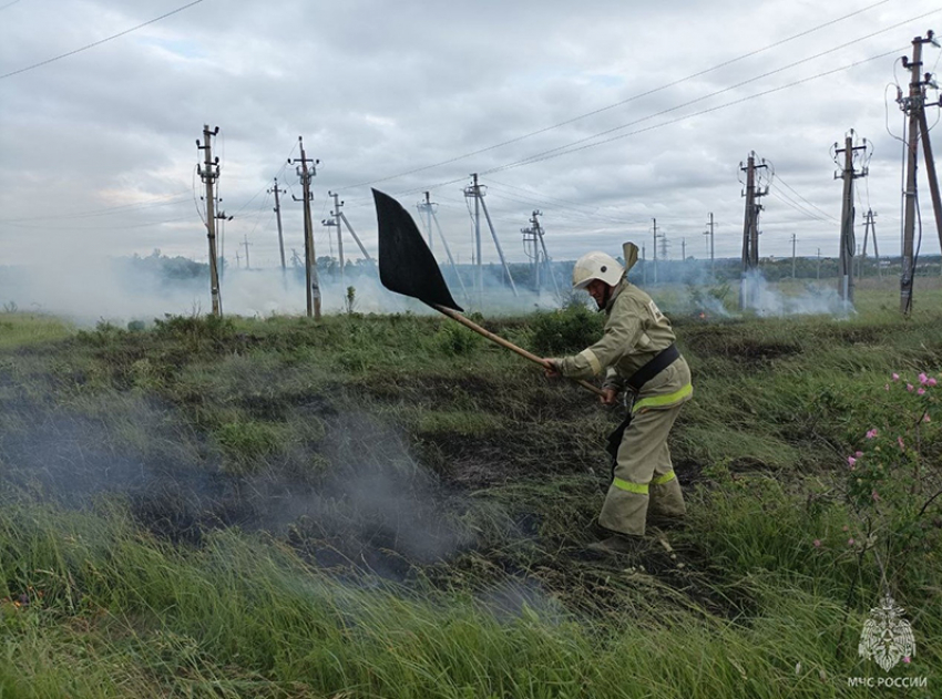 Лесные районы Черноземья охватили пожары