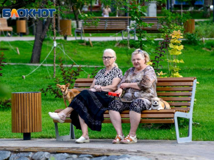 Летняя жара надвигается на Воронежскую область