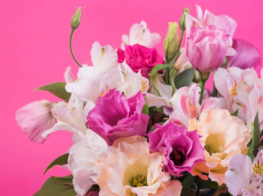 Как сохранить свежесть букета на долгий срок