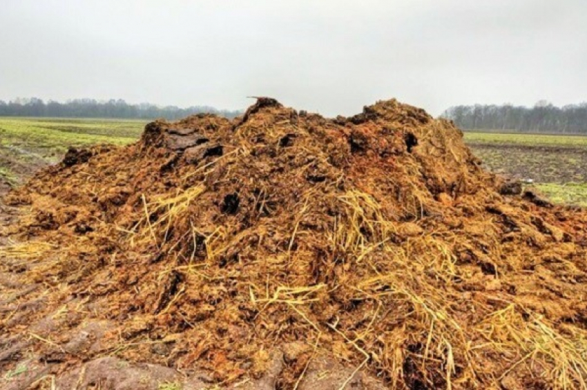 В Терновском районе сельхозпредприятие заплатит штраф за загрязнение почвы навозом