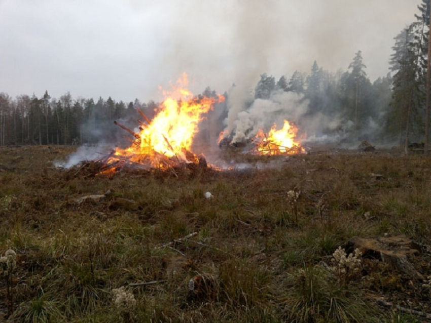 Жителей Воронежской области предупредили о возможном задымлении