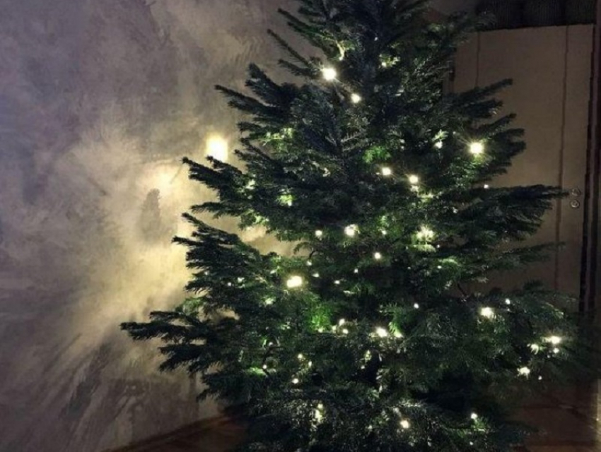Большинство борисоглебцев украшает к Новому году искусственные елки