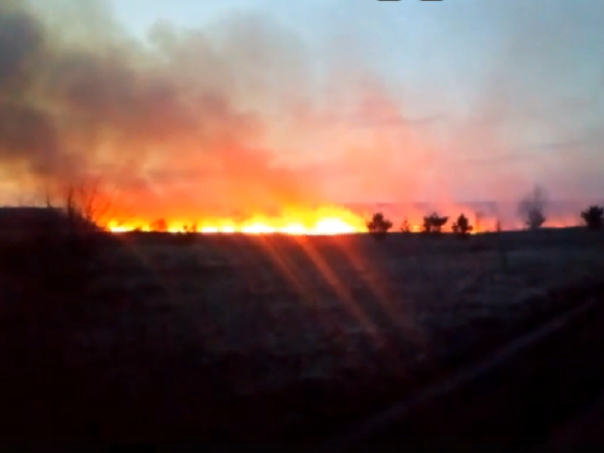 2,5 тыс пожаров произошло в Воронежской области с начала весны