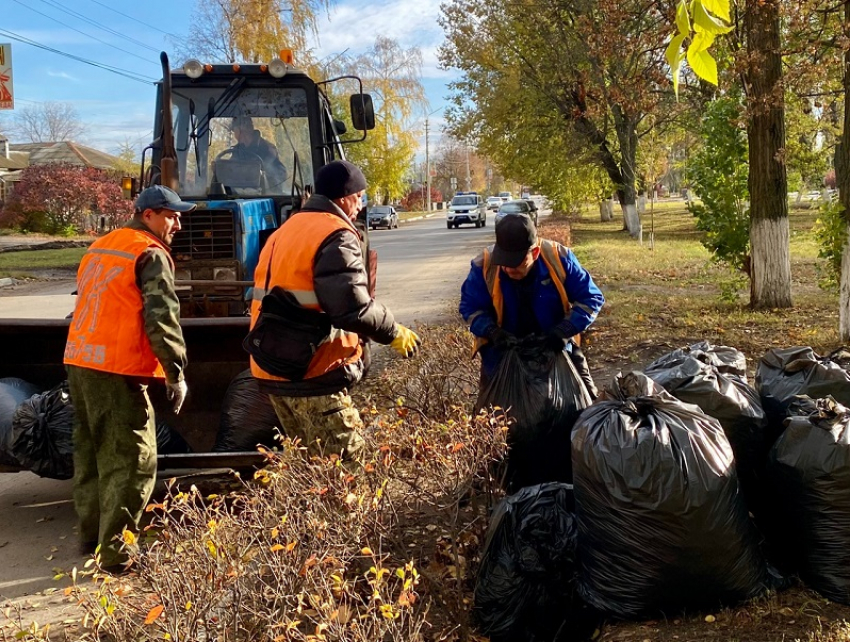 Борисоглебцам напомнили об окончании осеннего месячника по благоустройству