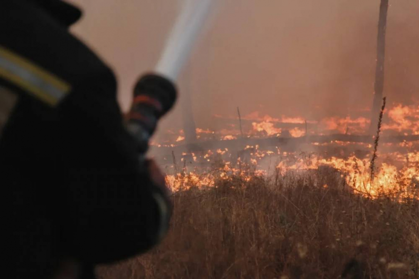 Самолеты и пожарных из шести регионов срочно вызвали для борьбы с огнем в Воронежскую область
