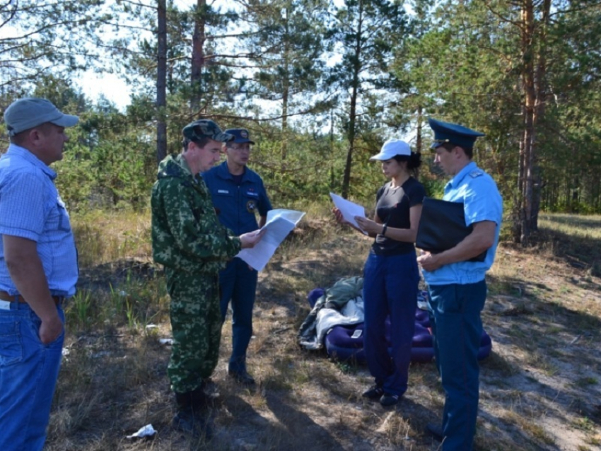 В выходные в Воронежской области усилят патрулирование лесов и мест отдыха граждан