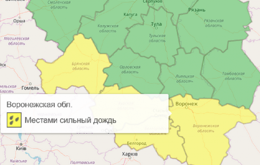Желтый уровень опасности объявлен в Воронежской области из-за сильных дождей