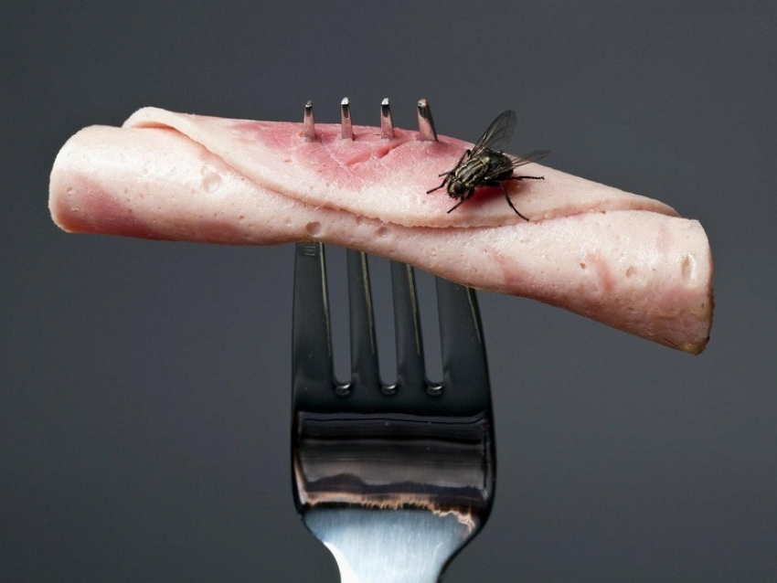 Борисоглебцы могут пожаловаться на еду и обслуживание в кафе и столовых