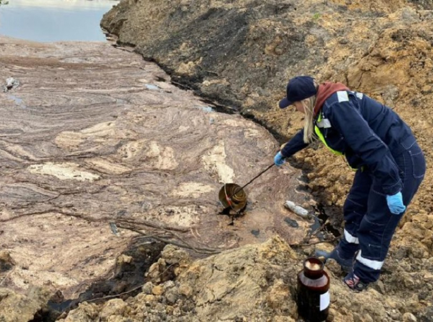 За нанесенный вред природе собственника участка обязали выплатить 5,6 млн рублей в Терновском районе 