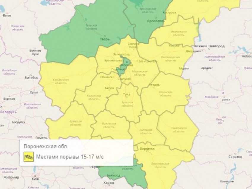 Жёлтый уровень опасности из-за погоды объявили в Воронежской области